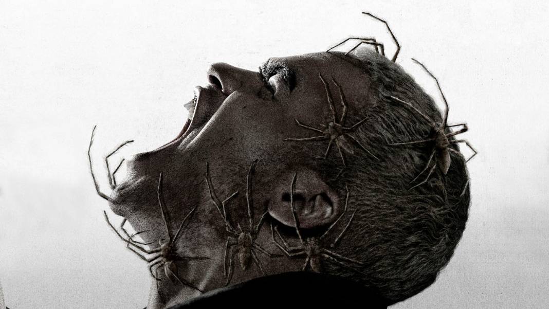 2024 yılında şimdiye dek vizyona giren en iyi korku filmleri listelendi 3